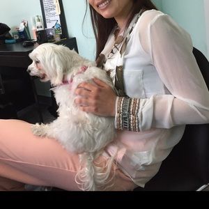 Zara sheer white blouse with embellished cuffs